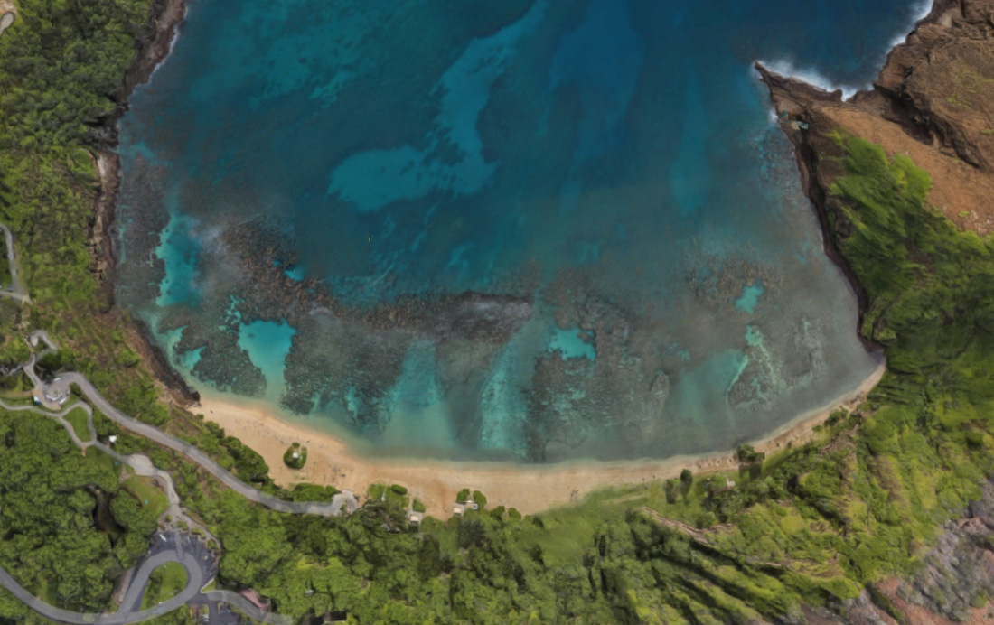 Hanauma Bay reef habitat and sandy channels