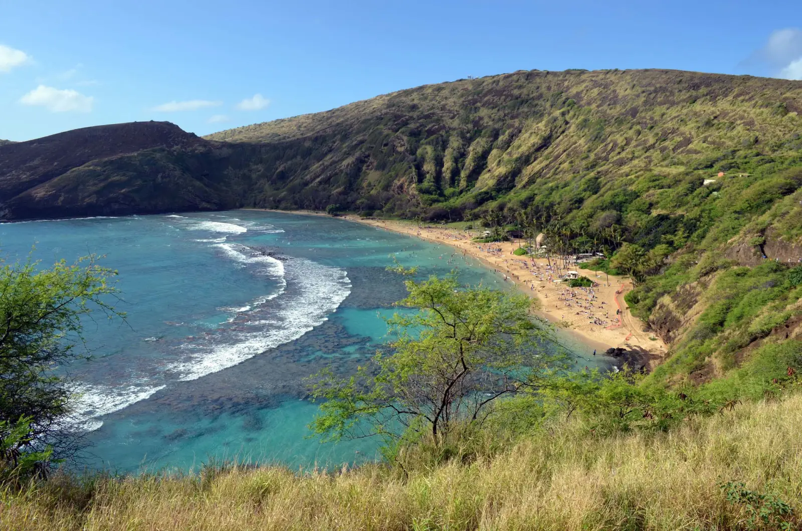 Hanauma Bay shoreline and snorkeling area